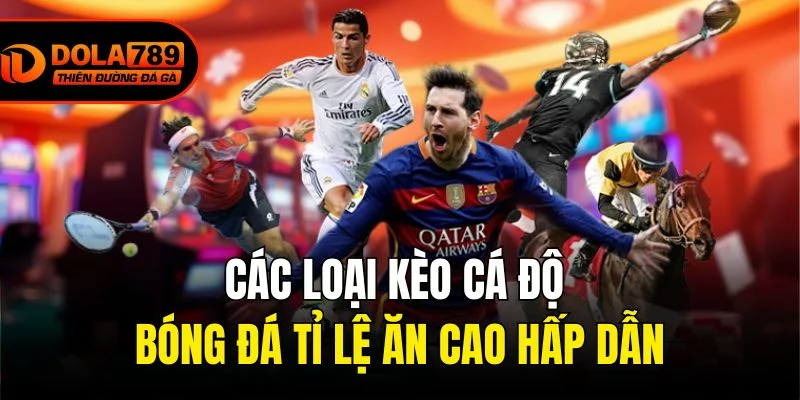 Các loại kèo cá độ bóng đá tỉ lệ ăn cao hấp dẫn