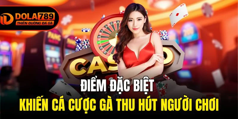 Điểm đặc biệt khiến cá cược gà thu hút người chơi