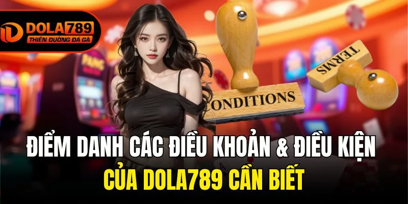 Vai trò của Điều khoản & Điều kiện tại nhà cái Dola789