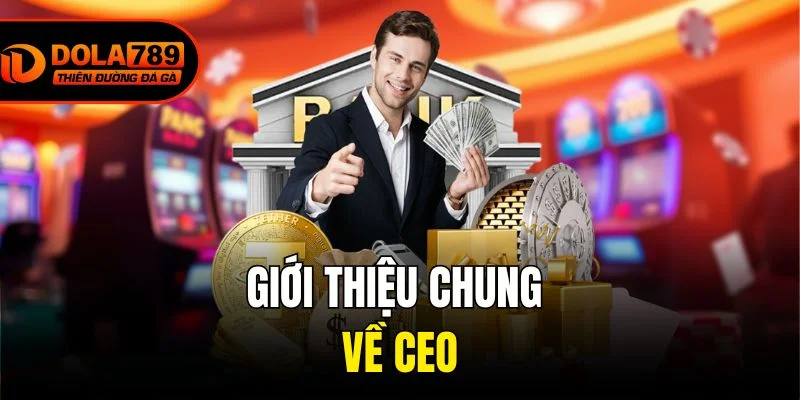 Giới thiệu chung về CEO