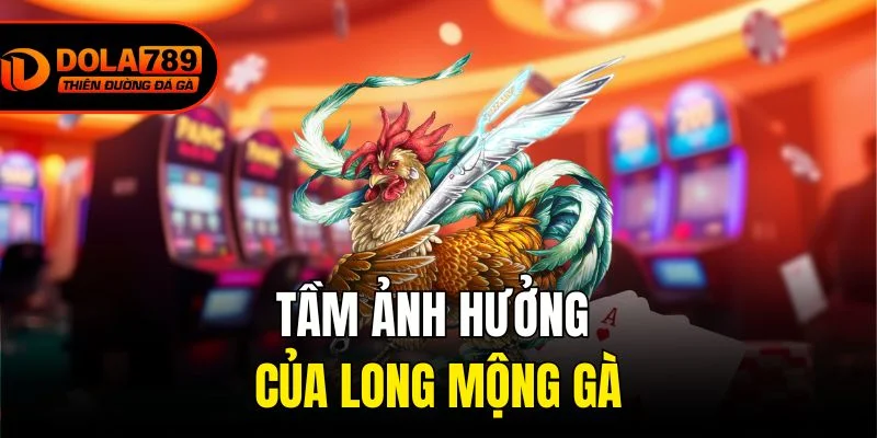 Tầm Ảnh Hưởng Của Long Mộng Gà