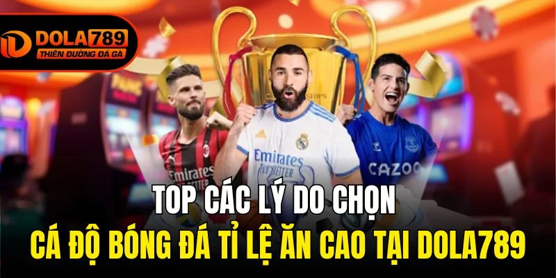 Top các lý do chọn cá độ bóng đá tỉ lệ ăn cao tại Dola789