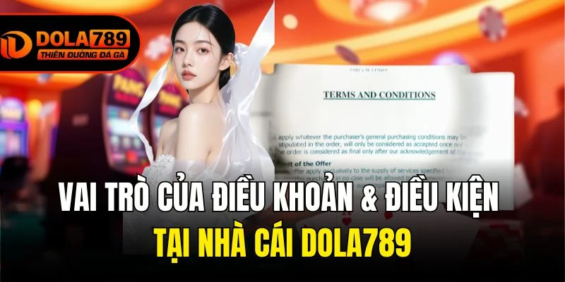 Vai trò của Điều khoản & Điều kiện tại nhà cái Dola789